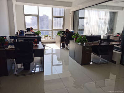 山東泰誠信息咨詢服務 專業信息咨詢的領航者